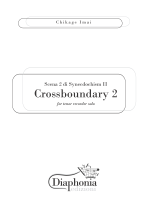 CROSSBOUNDARY 2 - SCENA 2 DI SYNECDOCHISM II for tenor recorder solo [Digitale]